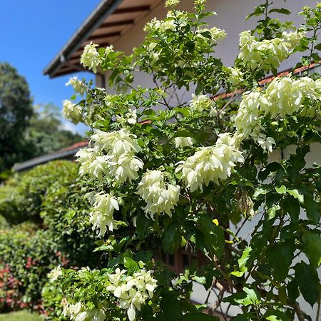 Garden Haven Hikkaduwa Villa Exteriör bild